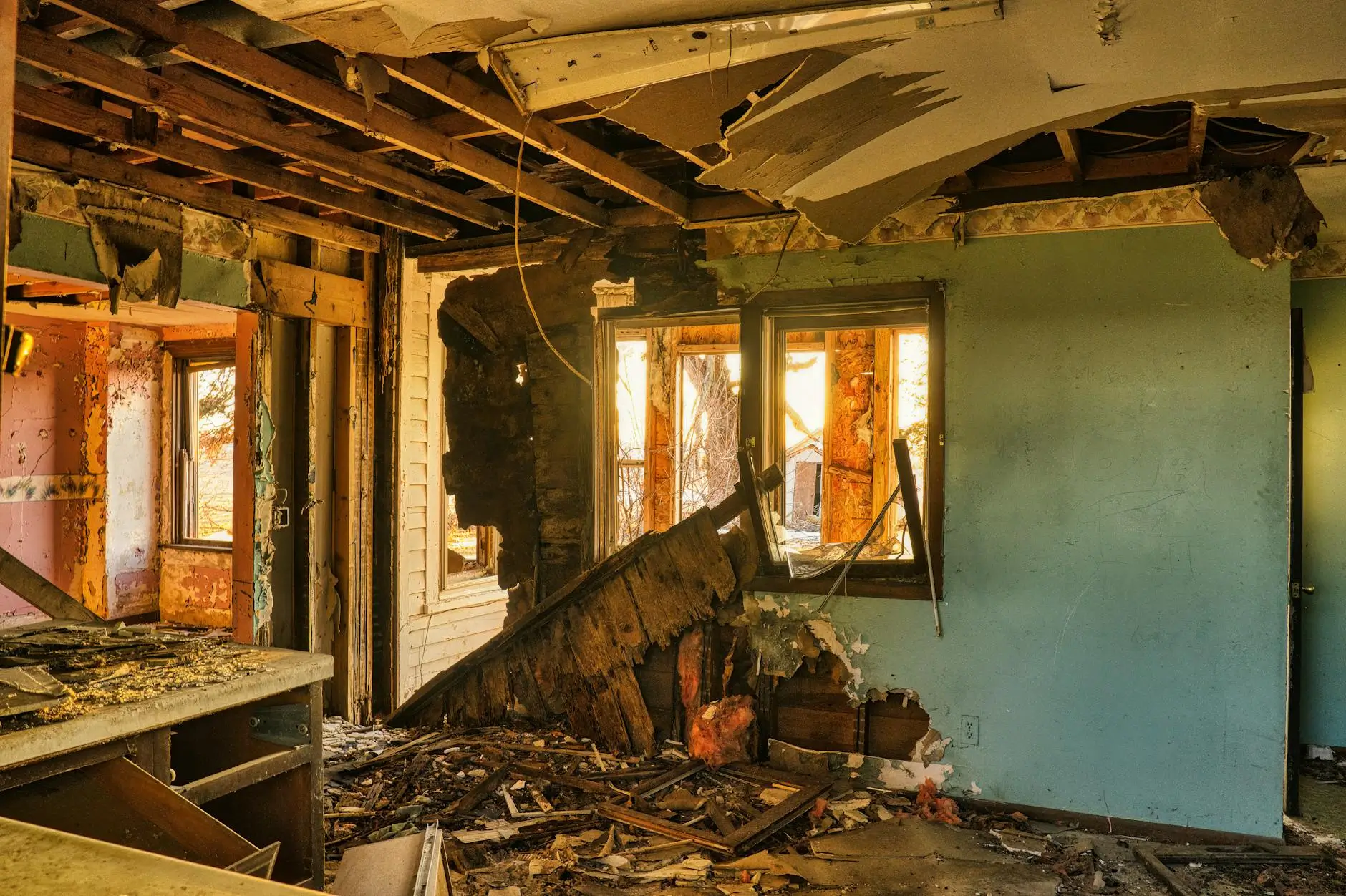 Jacksonville's Leading Mold Removal Company — Jacksonville, FL